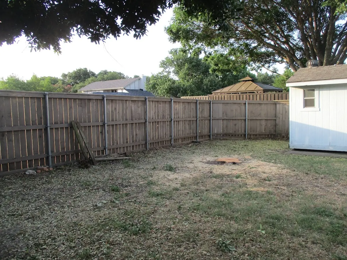 Cleared yard after professional tree removal in Montauk