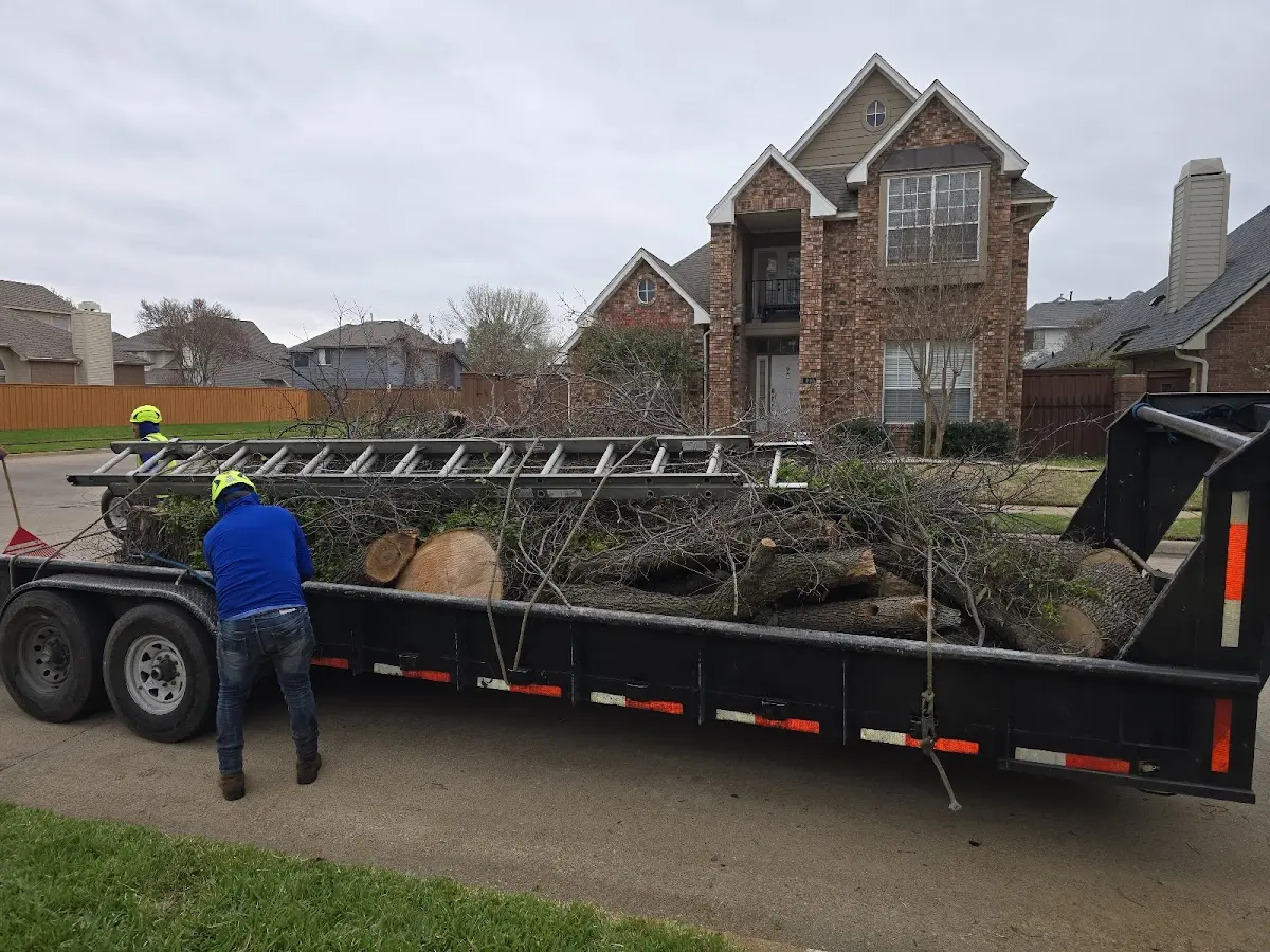Expert Tree Fertilization with proper safety equipment in Montauk